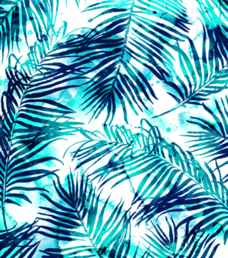 Tropical Heaven V1