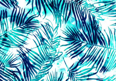 Tropical Heaven V1