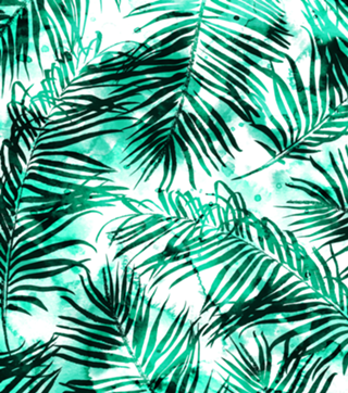 Tropical Heaven-v2