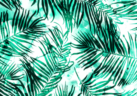 Tropical Heaven-v2