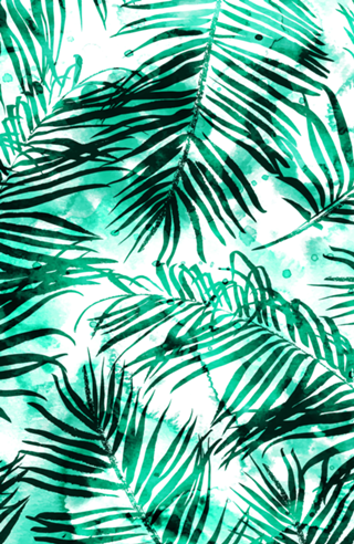 Tropical Heaven-v2