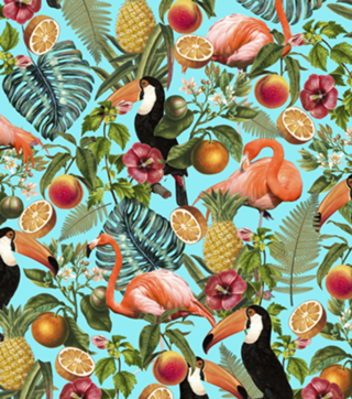 The Tropics v2