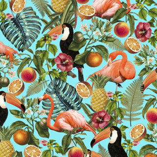The Tropics v2