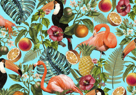The Tropics v2