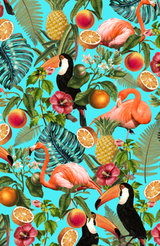The Tropics v2
