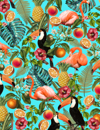 The Tropics v2
