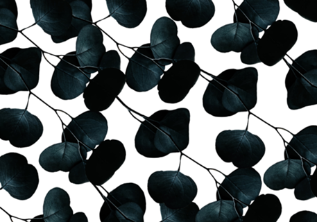 Dark Leaves