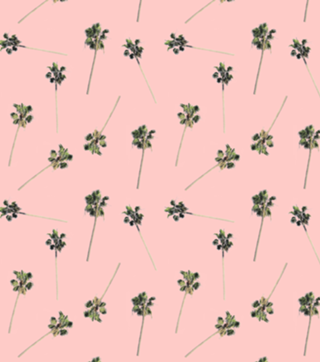 Palms on Pink