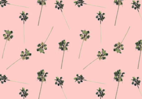 Palms on Pink