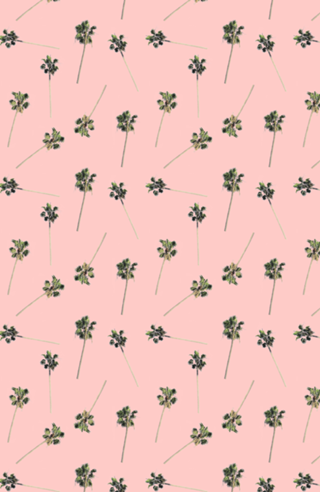 Palms on Pink