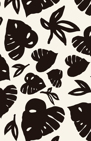Black Monstera