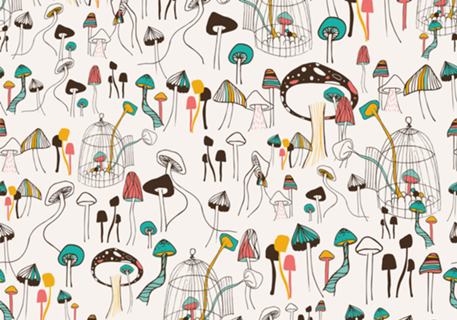 Mushroom Meeting