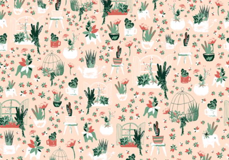 Succulents