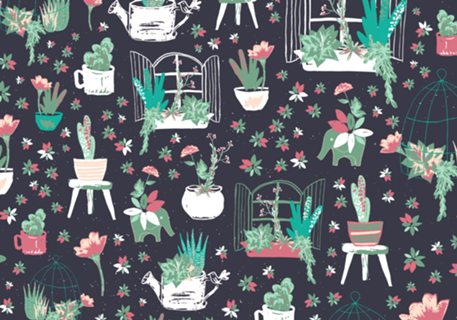 Succulents II