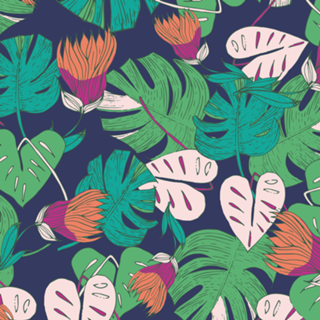 Tropical I