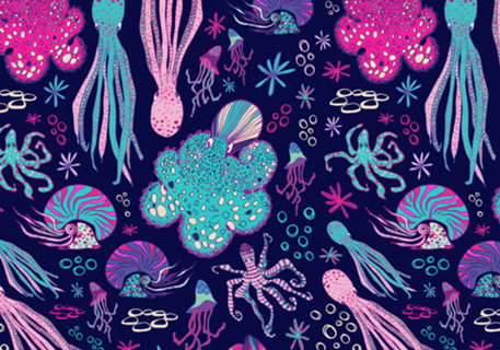 Cephalopods