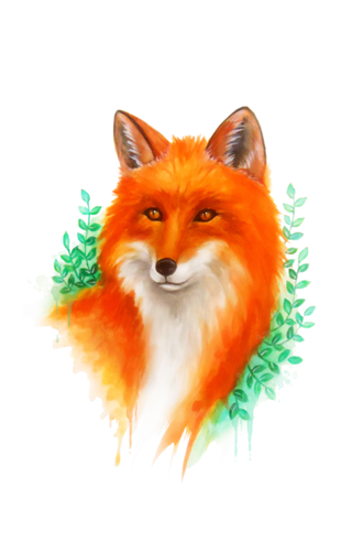 Red Fox