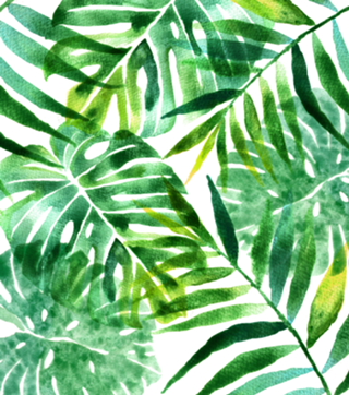 Tropical aquarela