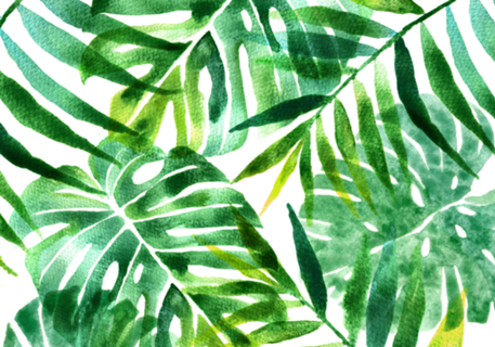 Tropical aquarela