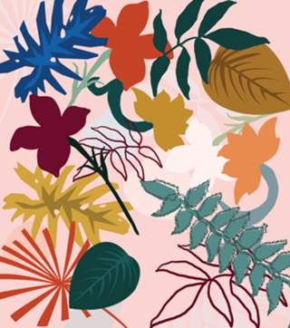 Tropical flores e folhas