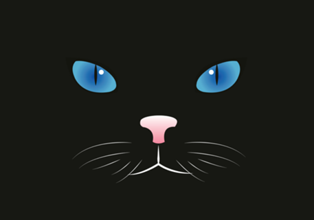 Gato preto