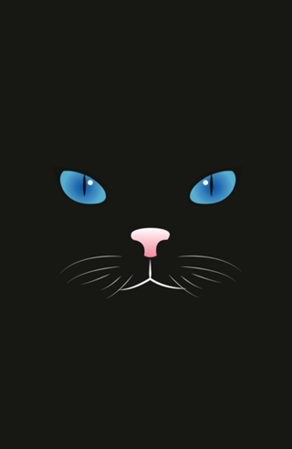 Gato preto