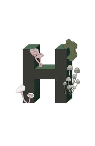 Monograma Floral H