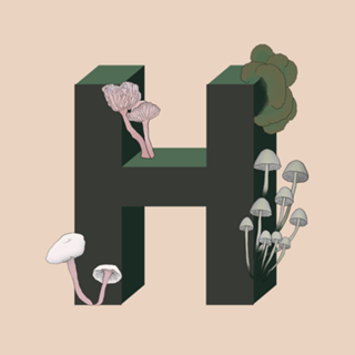 Monograma Floral H
