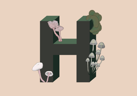 Monograma Floral H