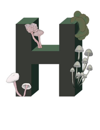 Monograma Floral H