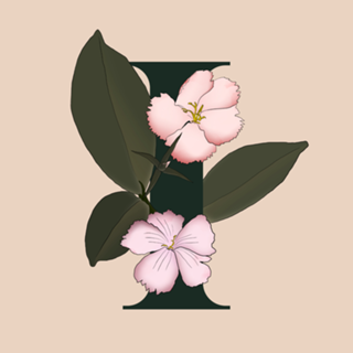 Monograma Floral I