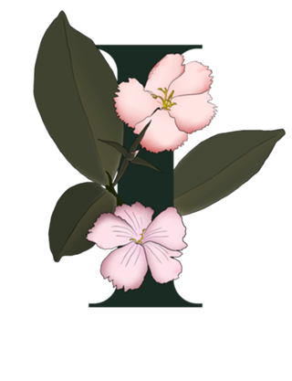 Monograma Floral I