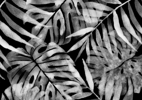 Tropical preto e branco