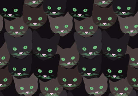 Cats together