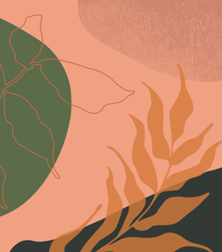 Terra abstract shapes and plants III