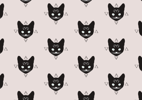 Gatos!Pretos
