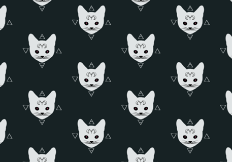 Gatos!Brancos
