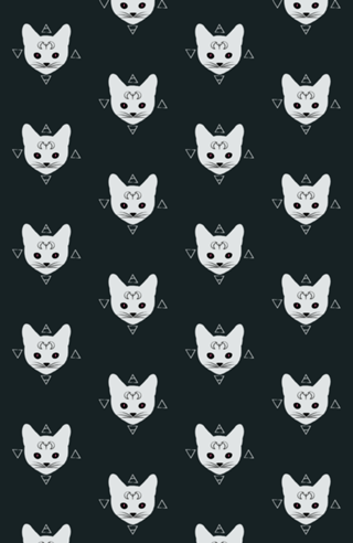 Gatos!Brancos