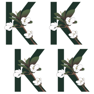 Monograma Floral K