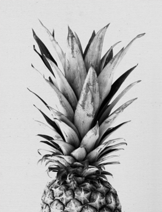 Abacaxi Preto e Branco