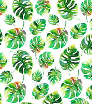 Folhas Tropicais