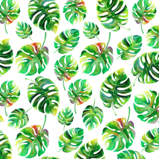 Folhas Tropicais