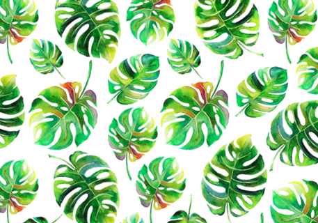 Folhas Tropicais