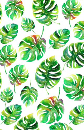 Folhas Tropicais