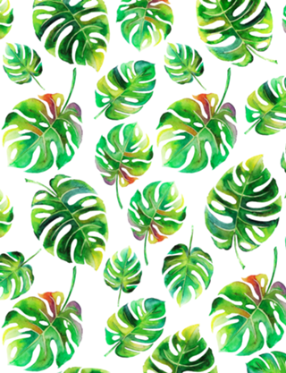 Folhas Tropicais