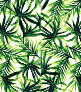 Folhas Tropicais I