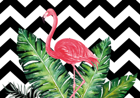 Flamingo