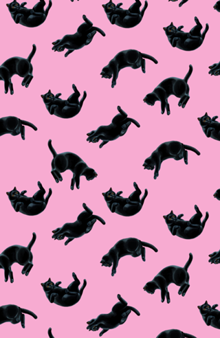 Gatos Pretos