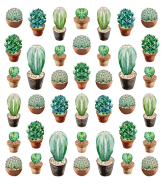 Conjunto de Cactos I