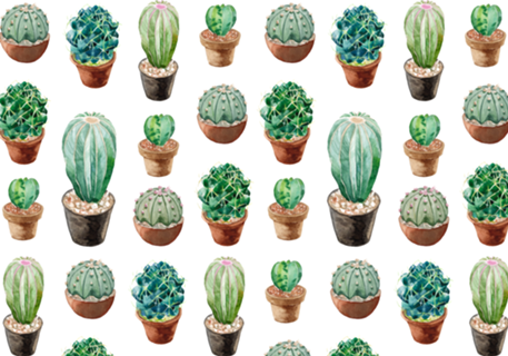 Conjunto de Cactos I